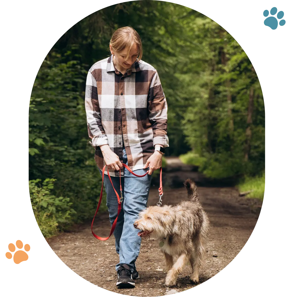 Person walking dog on forest path.